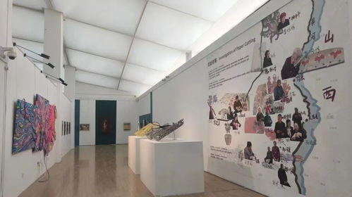 视觉关注 青春正好,国内各大美术院校毕业展来袭