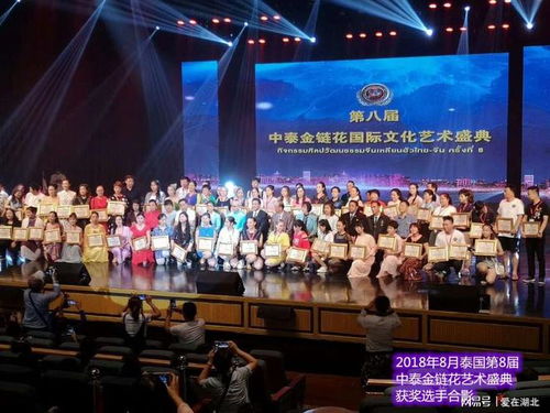 第九届中国艺术新星国际文化艺术节湖北选区海选报名登记