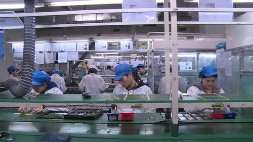 暑假,大学生涌入富士康流水线