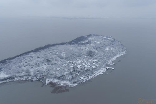江苏大乐之野 余山岛 在线预订与价格查询——第六感精品别墅与文化艺术咨询指南