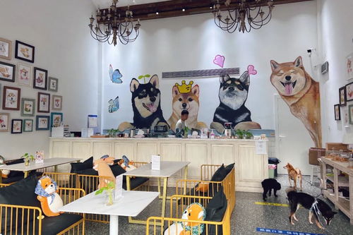 身边的美学空间 苏州这几处公共文化体验空间，文艺小资且充满艺术灵感